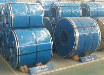 Prepainted Galvanized Steel Coil PPGI Prepainted Galvanized Steel Coil PPGI