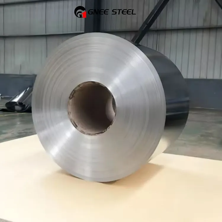 Acer sense estany (TFS)